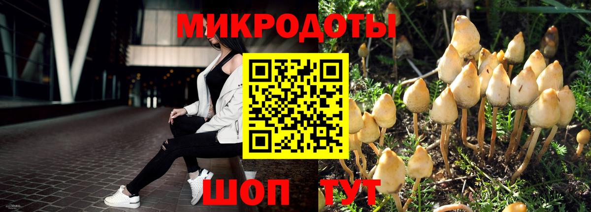 Псилоцибиновые грибы прущие грибы  Вход с VPN  Холмск 